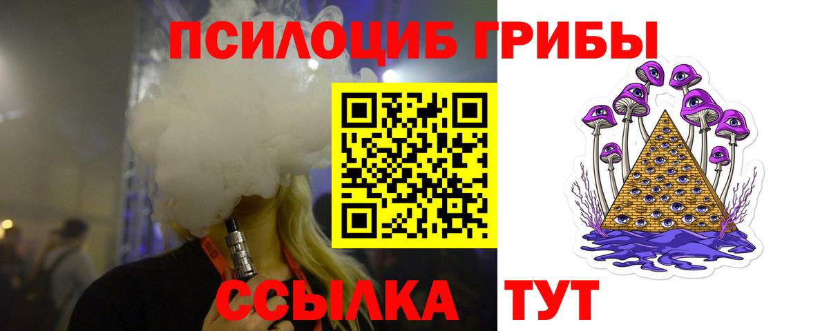 Галлюциногенные грибы прущие грибы Грозный