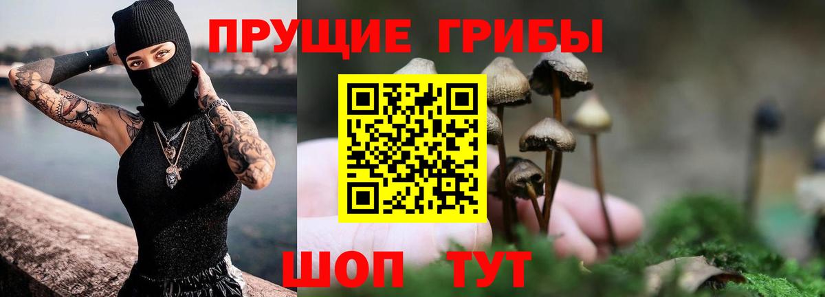 Галлюциногенные грибы ЛСД  Вход с VPN  Грозный 